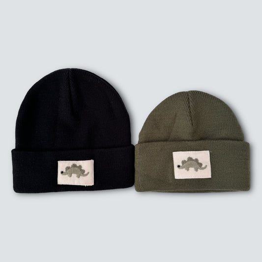 Dino Patch Beanie